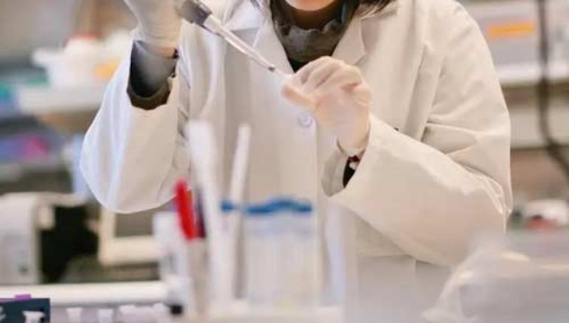 رشد جنین بدون استفاده از اسپرم و تخمک در محیط آزمایشگاهی برای اولین بار در جهان