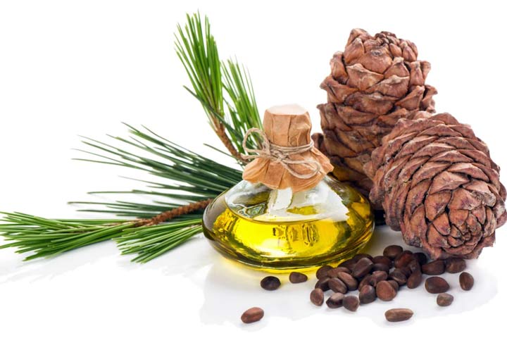 چلغوز؛ همهچیز درباره دانه کاج 2 روغن چلغوز