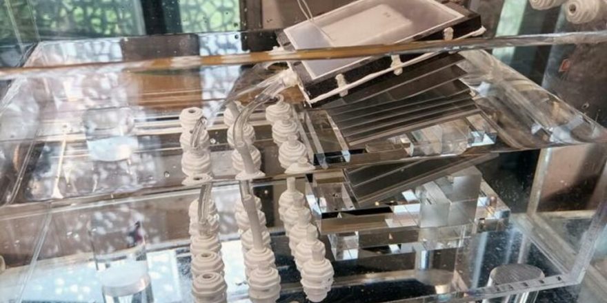 دانشمندان دستگاه خورشیدی جدیدی برای نمک‌زدایی از آب با نرخ بالا ساختند