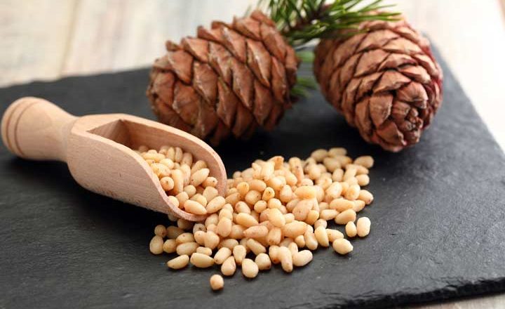 حفظ سلامت مغز با چلغوز دانه کاج