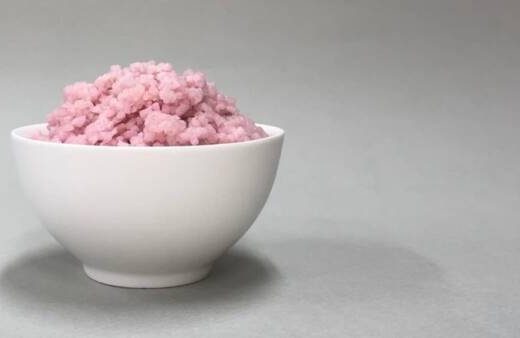 استفاده از برنج برای کشت سلول‌های ماهیچه و چربی و تولید نوعی برنج گوشتی