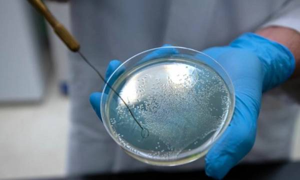 باکتری‌های خون آشام و مرگبار به راحتی وجود خون را تشخیص می دهند