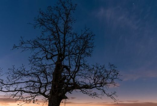 گرفتگی کامل