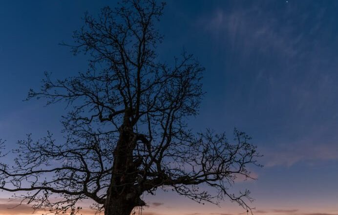 گرفتگی کامل