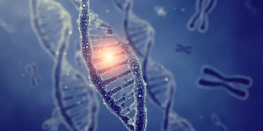 محققان تأثیر شخصیت افراد بر بیان ژن‌ها در بدن را نشان دادند