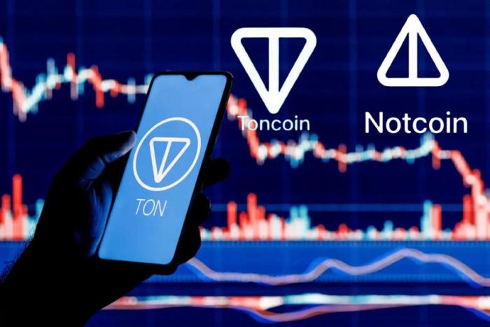 نات کوین چیست؟ بازدید جزئیات پروژه نات کوین_سیاه پوش 2 رویکردی متفاوت نات کوین