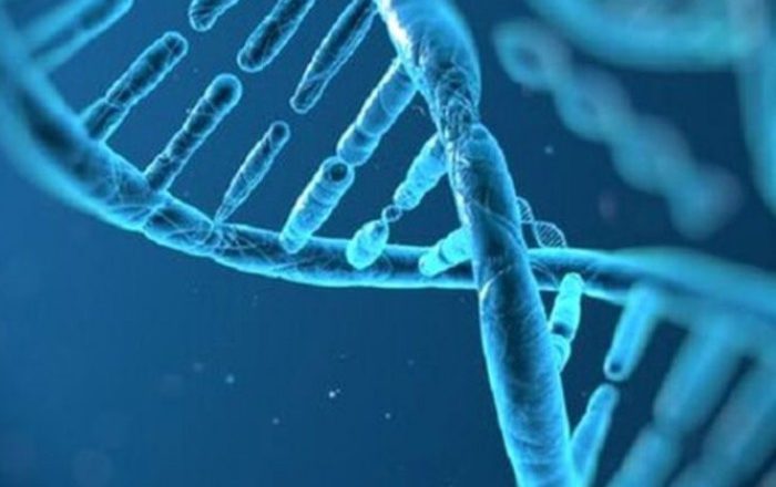 ویروس‌های باستانی و توالی آنها در DNA می‌تواند به اختلالات روان پزشکی منجر شود