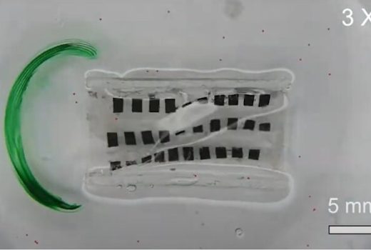 رباتی برای کمک به ماهیچه‌های مری در بلع غذا