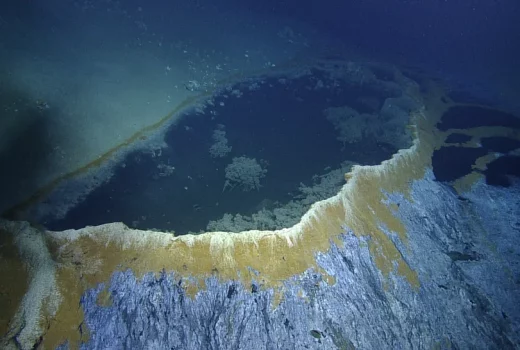 حوضچه مرگ : تله شور و سمی در خلیج مکزیک