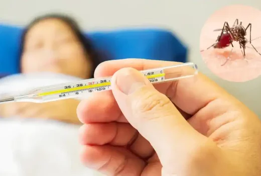 همه چیز درباره تب دنگی + راه‌های انتقال، علائم، راه پیشگیری و شیوه‌های درمان