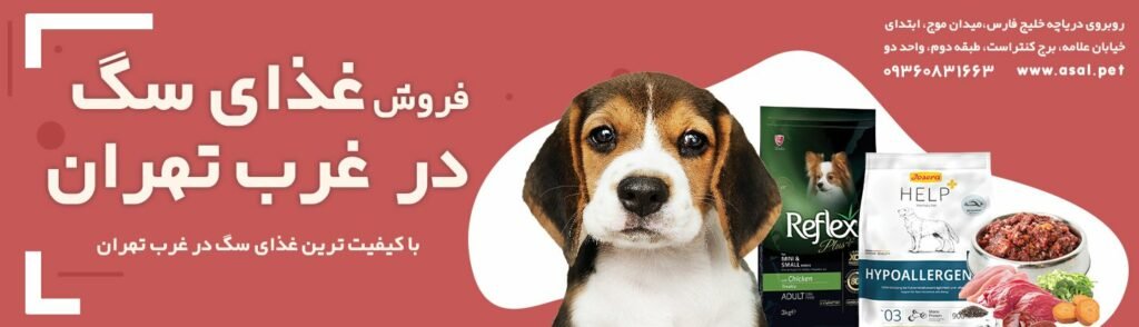 1724326040 754 فروش غذای سگ غرب تهران آدرس پت شاپ و