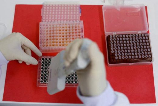 بین تولید مثل و استعداد ابتلا به سرطان در پرندگان ارتباط وجود دارد