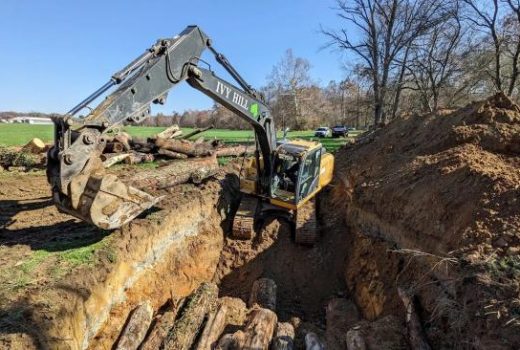 ذخیره‌سازی بلندمدت دی‌اکسید کربن در گاوصندوق‌های چوبی