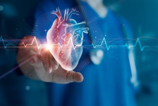 ساخت شبیه‌ساز پیشرفته قلب با قابلیت تقلید دقیق عملکرد و حرکات قلب انسان 