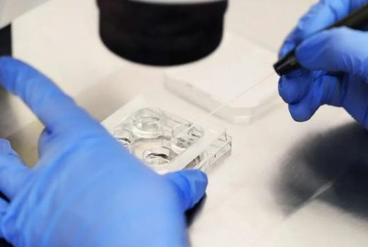 کشف شیوه‌ی تولیدمثل بی‌نظیر باکتری در پلاک دندان