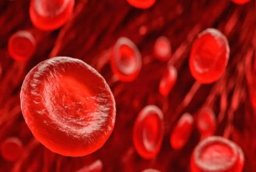 کشف پیش‌سازهای جدید سلولی که نقش مهمی در ترمیم و بازسازی دارند