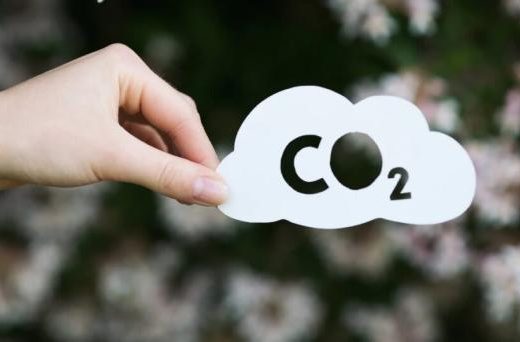 گوگل برای نخستین بار اقدام به خرید اعتبار کربن برای کاهش اثرات تغییرات اقلیمی کرد