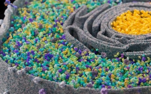 شناسایی دقیق پروتئین‌های جهش یافته برای درمان سرطان