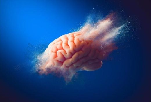 کشف سلول‌های خاص در مغز که در درمان آلزایمر موثر هستند