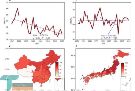 بحران آب و هوا برنج را گران‌تر و کم‌کیفیت‌تر می‌کند