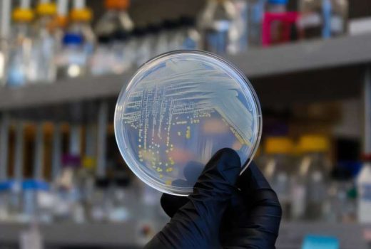 تنوع شگفت‌انگیز میکروب‌ها و نقش ویتامین‌ها در شکل‌دهی خاک