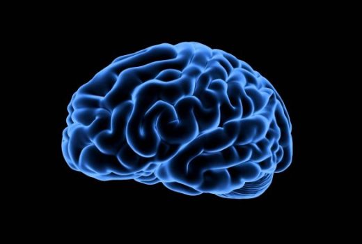 آیا مغز ما کند کار می‌کند؟ + راه‌های افزایش بهره‌وری مغز