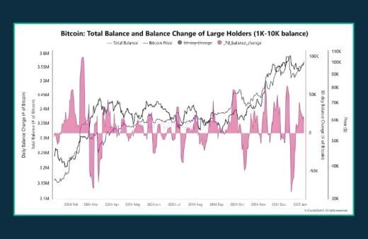 نمودار وضعیت هولدر های بیت کوین