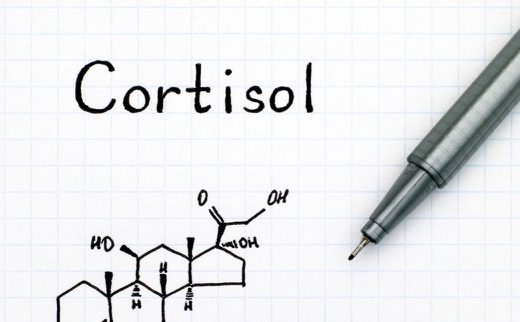 همه چیز درباره‌ی سطح کورتیزول پایین و تأثیرش بر سلامت + ۵ راه حفظ تعادل کورتیزول
