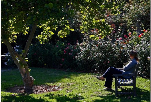 چطور تنهایی بهتری داشته باشیم؟ + ۸ راه برای لذت بردن از انجام کارها به تنهایی