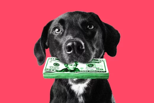 چرا این‌قدر پول برای حیوانات خانگی خود هزینه می‌کنیم؟