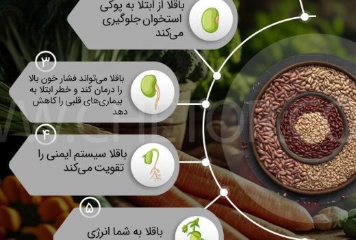 لیست خواص باقلا