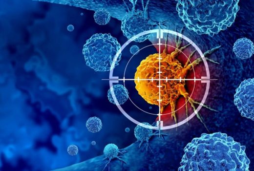 دانشمندان از این قارچ هیمالیایی ترکیب ضدسرطان قدرتمند ساختند