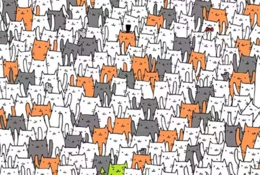 بازی پیدا کردن چیزها