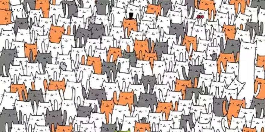 بازی پیدا کردن چیزها