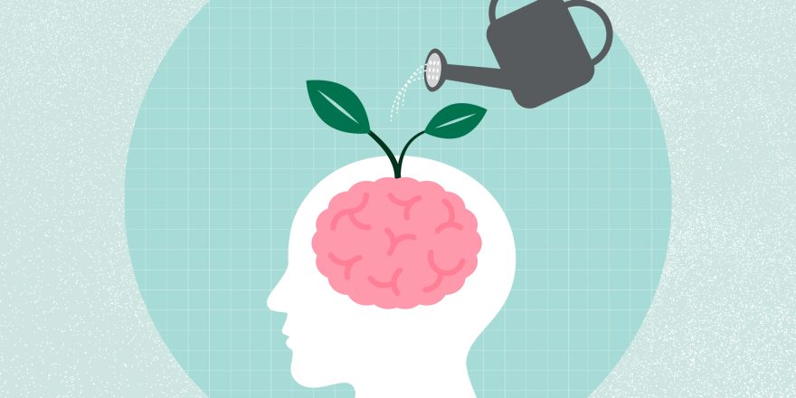 آب دادن به جوانه مغز