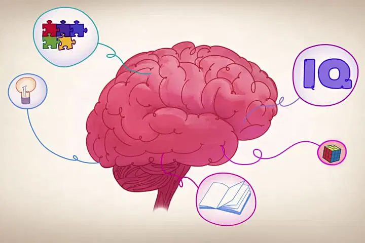 1755009324 218 در چه سنی باهوش‌تر هستیم؟ جواب متفاوت علم به یک.webp