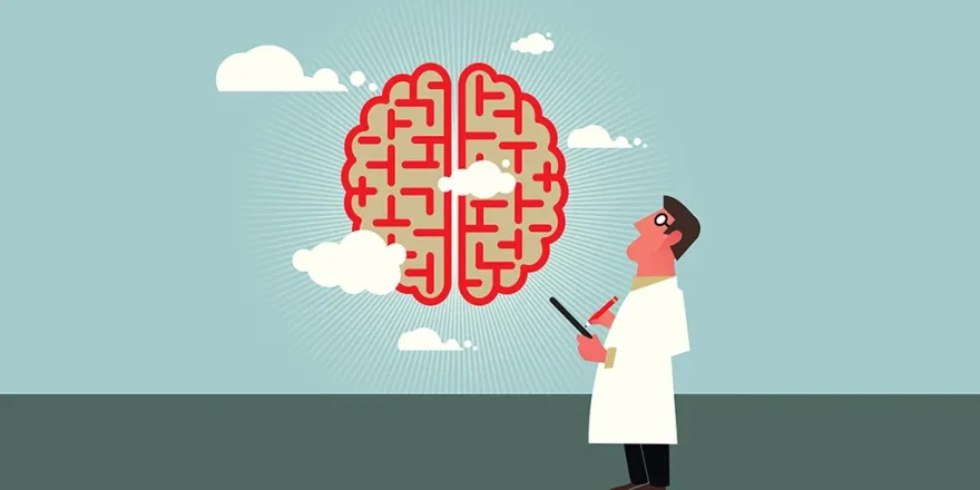 در چه سنی باهوش‌تر هستیم؟ پاسخ متفاوت علم به یک سوال قدیمی