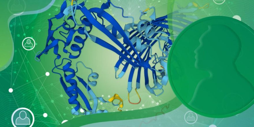 روزانه چقدر پروتئین نیاز داریم و آیا مصرف بیش‌ازحد آن مضر است؟