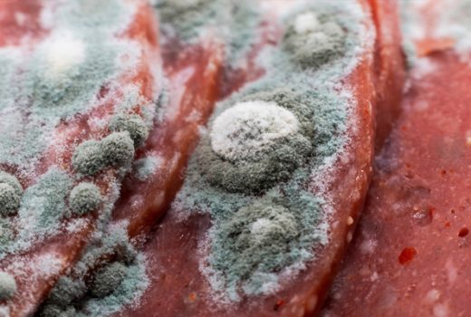 گوشت تازه و منجمد چه تفاوت‌هایی دارند؟ آیا گوشت تازه سالم‌تر است؟