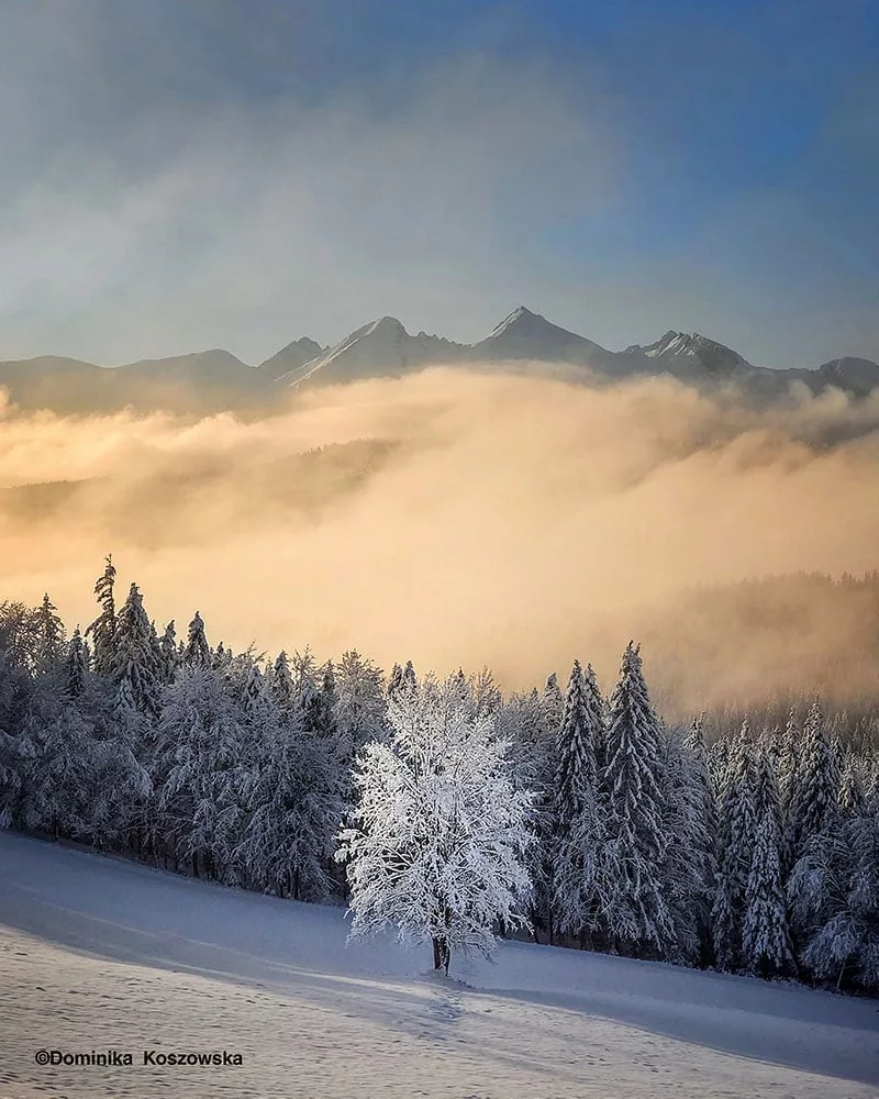 مسابقه عکاسی آب‌وهوای ۲۰۲۵